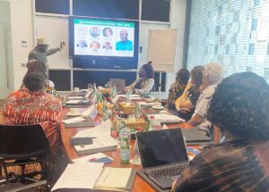 Mr. Luc Armand H. Bodea, the ICASA Director and SAA Coordinator, presented ICASA/SAA to partners during a discussion on health and community system strengthening for HIV control from an African perspective.