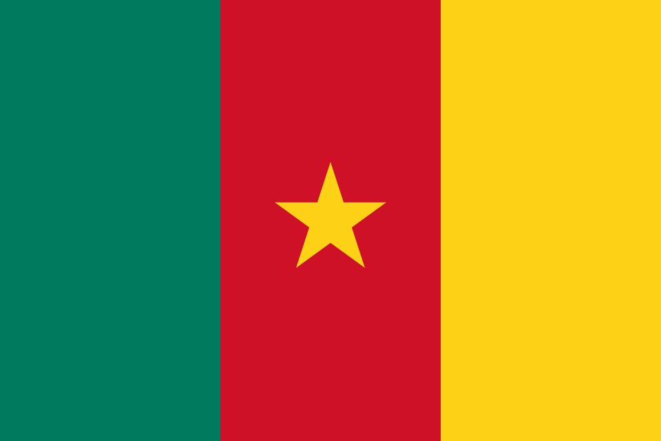 Cameroon Flag